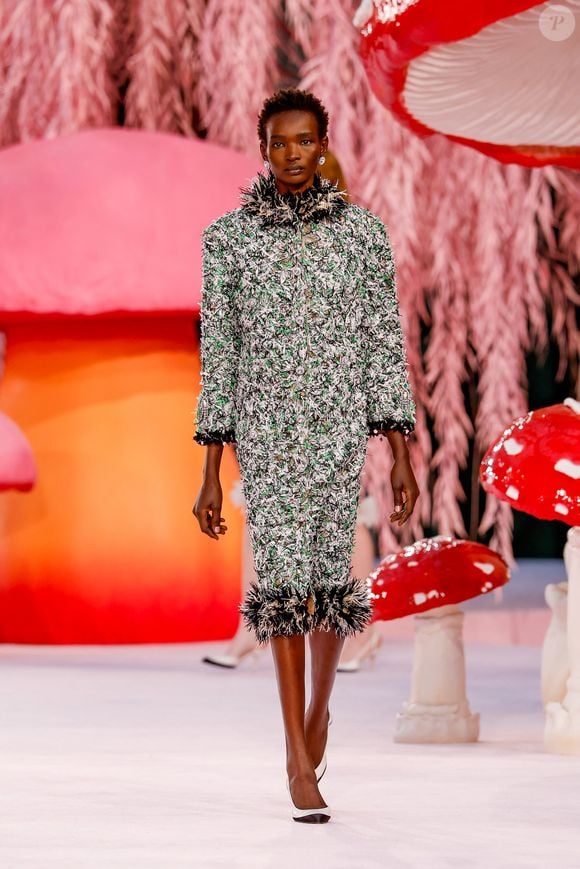 Défilé Chanel "Collection Haute Couture Printemps/Eté 2026" lors de la Fashion Week de Paris (PFW) au Grand Palais, à Paris, France, le 27 janvier 2026.
Agence / Bestimage
