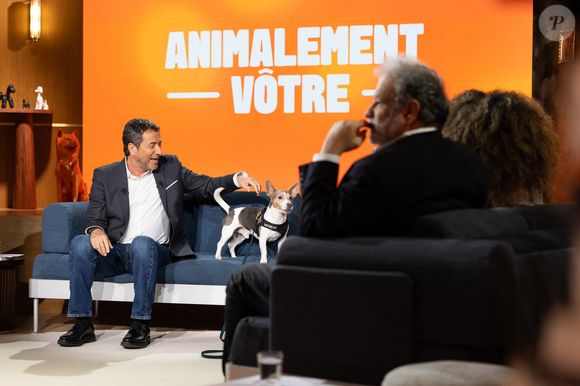 Bernard Montiel, Oli, Raphaël Mezrahi sur plateau de l'émission "Animalement Vôtre" présentée par Bernard Montiel et diffusée le 3 mai 2026 sur France 3, à Paris, France, le 13 janvier 2026. © Julien Sarkissian/Bestimage