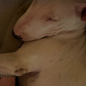 Story Instagram de Charlotte Gainsbourg