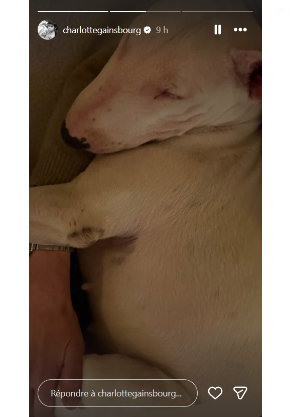 Story Instagram de Charlotte Gainsbourg
