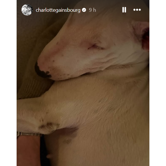 Story Instagram de Charlotte Gainsbourg