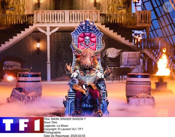 Le Bison dans la saison 7 de "Mask Singer" sur TF1 © Laurent VU / TF1