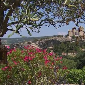 Michel Drucker dévoile des images de la maison de Mimie Mathy située à Vaison-la-Romaine dans l'émission Vivement dimanche le 9 février 2025 sur France 3.