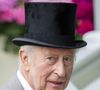 Buckingham Palace n’a jamais eu de bibliothèque depuis que la King's Library a été donnée au British Museum par le roi George IV.

Charles III au Royal Ascot, dans le Berkshire, en Angleterre, le 21 juin 2025. 21 June 2025. GoffPhotos.com