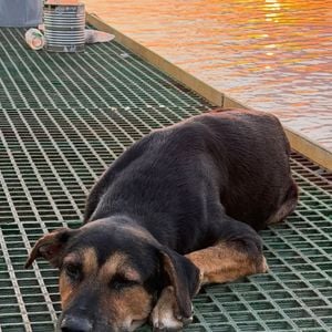 Camille Gottlieb a partagé des images de son séjour paradisiaque sur l'Île Maurice. Capture d'écran Instagram
