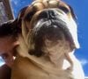 Florence Foresti présente son nouveau chien sur Instagram, le 6 septembre 2018