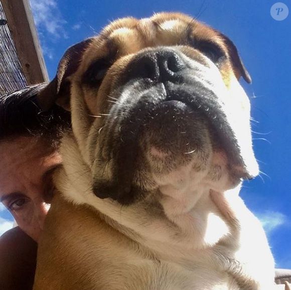 Florence Foresti présente son nouveau chien sur Instagram, le 6 septembre 2018
