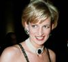 L’anecdote correcte : il a dormi dans le même lit que Lady Diana, grande figure royale britannique

La princesse Diana à New York.
BERTRAND RINDOFF PETROFF / BESTIMAGE