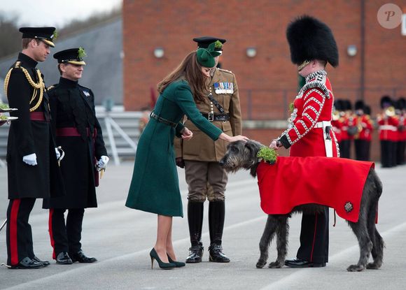 Le prince William et Kate Middleton assistent à la parade de la Saint Patrick des gardes irlandais à Mons Barracks à Aldershot, le 17 mars 2014. 

Photo : Express Syndication / Bestimage