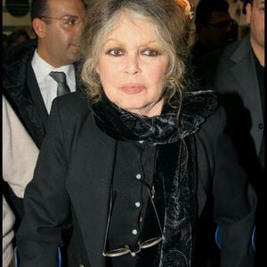Un problème qui ne devrait pas se résoudre avant le 13 janvier 2025.

Archives : Brigitte Bardot