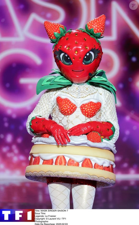 Le Fraisier dans la saison 7 de "Mask Singer" sur TF1 © Laurent VU / TF1