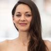 L'autre vie de Marion Cotillard : l'actrice a investi dans deux commerces de bouche, situés dans l’un des quartiers les plus vivants de Paris
