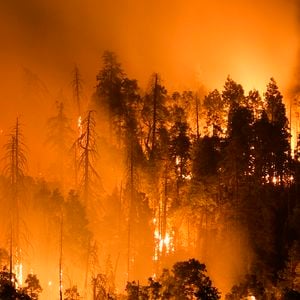 Un incendie de forêt, propagé par le vent, près de Laguna Niguel en Californie © Ruaridh Stewart/ZUMA Press Wire / Bestimage