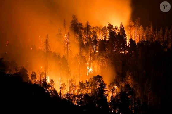 Un incendie de forêt, propagé par le vent, près de Laguna Niguel en Californie © Ruaridh Stewart/ZUMA Press Wire / Bestimage