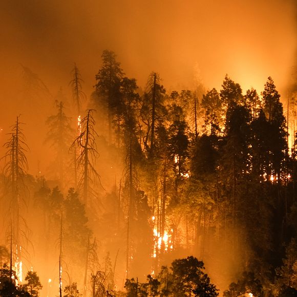 Un incendie de forêt, propagé par le vent, près de Laguna Niguel en Californie © Ruaridh Stewart/ZUMA Press Wire / Bestimage