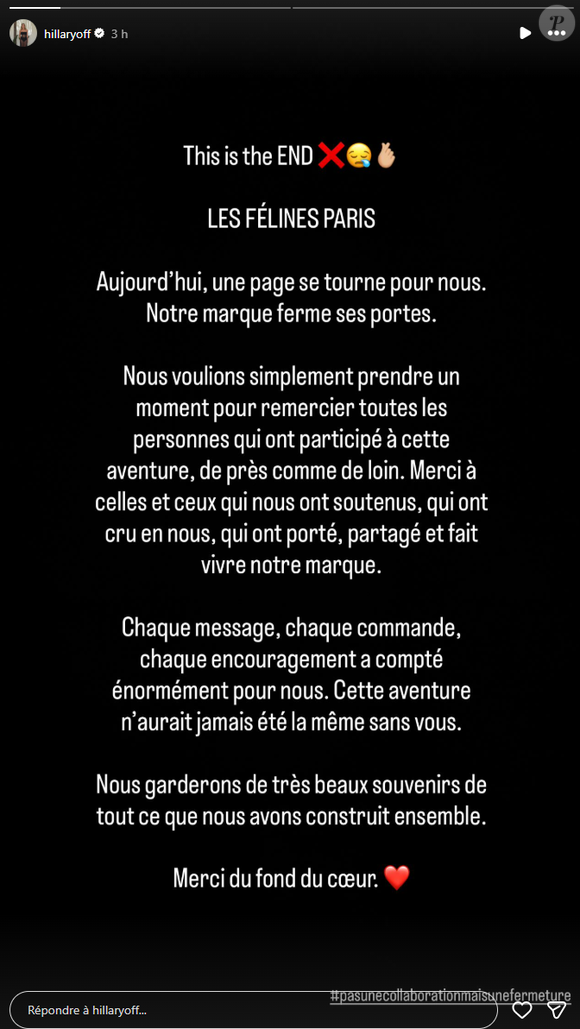 La jeune femme a en effet décidé de fermer définitivement sa marque de bijoux baptisée "Les Félines".

Hillary Vanderosieren annonce la fermeture de son entreprise "Les Félines".