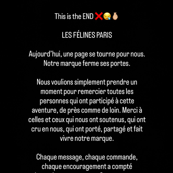 La jeune femme a en effet décidé de fermer définitivement sa marque de bijoux baptisée "Les Félines".

Hillary Vanderosieren annonce la fermeture de son entreprise "Les Félines".