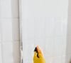 Par exemple : pour les parois de douche qui accumulent rapidement calcaire et résidus, il existe des solutions bien plus efficaces que les produits chimiques vendus sur le marché.

Comment retirer des traces sur les parois de la douche ?