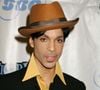 Aujourd'hui, cela fait neuf ans que Prince s'est éteint.
Prince à Tiger Jam VII, Mandalay Bay Hotel, Las Vegas, Nevada. Photo Baxter/ABACA.