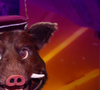 Il a quitté ses camarades

Le Sanglier dans Mask Singer - capture d'écran TF1