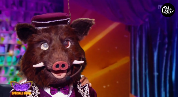 Il a quitté ses camarades

Le Sanglier dans Mask Singer - capture d'écran TF1