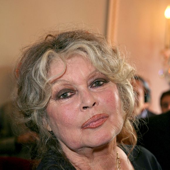 "La Fondation Brigitte Bardot annonce avec une immense tristesse, le décès de sa fondatrice et présidente, Madame Brigitte Bardot", ont indiqué des représentants de sa Fondation à l'AFP ce dimanche 28 décembre 2025.

La légende française Brigitte Bardot pose lors de la célébration de son double anniversaire. La fête s'est déroulée au théâtre Marigny à Paris, France, le 28 septembre 2006. Photo by Denis Guignebourg/ABACAPRESS.COM