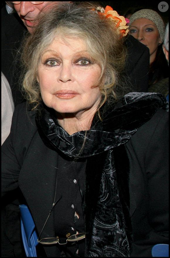 Archives - Brigitte Bardot . Noel des animaux de la S.P.A au palais des sports Marcel Cerdan. 10/12/2005 © Guillaume Gaffiot/Bestimage