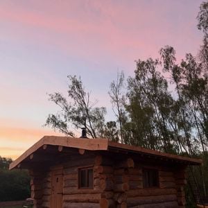 Montrant le résultat de sa cabane en bois située en pleine forêt

Vianney a terminé la construction de sa cabane en bois en pleine forêt et montre le résultat sur Instagram le 12 avril 2026.