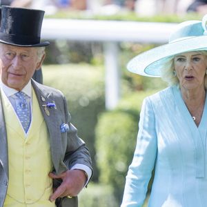 Charles III avait déjà rendu ce type de données publiques lorsqu’il était prince de Galles.

Le roi Charles III (King Charles III), Royal Ascot 2026, course hippique royale, 4e journée à Ascot, Royaume-Uni, le 19 juin 2026.
GOFF  / BESTIMAGE