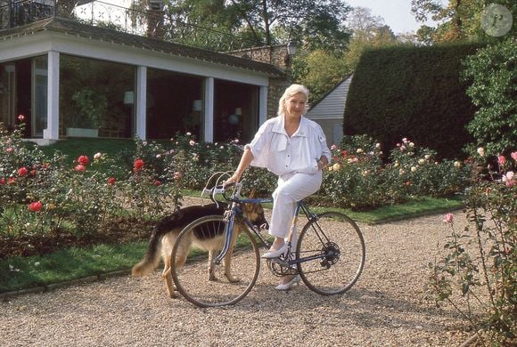 Le salon de la maison a été décoré pour les fêtes avec un somptueux sapin bleu et blanc.

Line Renaud à son domicile de la Jonchère à Rueil Malmaison en Juillet 1988.

© Bortoli//JLPPA/Bestimage