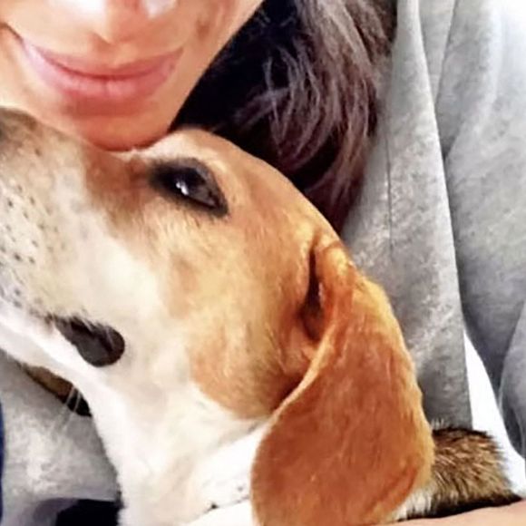 Guy, c'est un petit beagle que l'épouse d'Harry avait adopté dans un refuge au Canada. Une perte qui l'a dévastée, a-t-elle indiqué sur les réseaux sociaux.
Meghan Markle a annoncé sur ses réseaux le décès de son chien, un Beagle prénommé Guy, adopté en 2015.