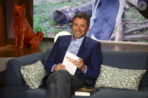 Exclusif - Bernard Montiel, sur plateau de la nouvelle émission "Animalement Vôtre" présentée par Bernard Montiel et diffusée le 9 novembre sur France 3, à Paris, France, le 13 octobre 2025. © Jack Tribeca/Bestimage