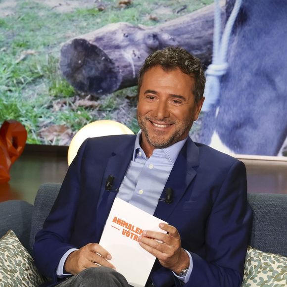 Exclusif - Bernard Montiel, sur plateau de la nouvelle émission "Animalement Vôtre" présentée par Bernard Montiel et diffusée le 9 novembre sur France 3, à Paris, France, le 13 octobre 2025. © Jack Tribeca/Bestimage