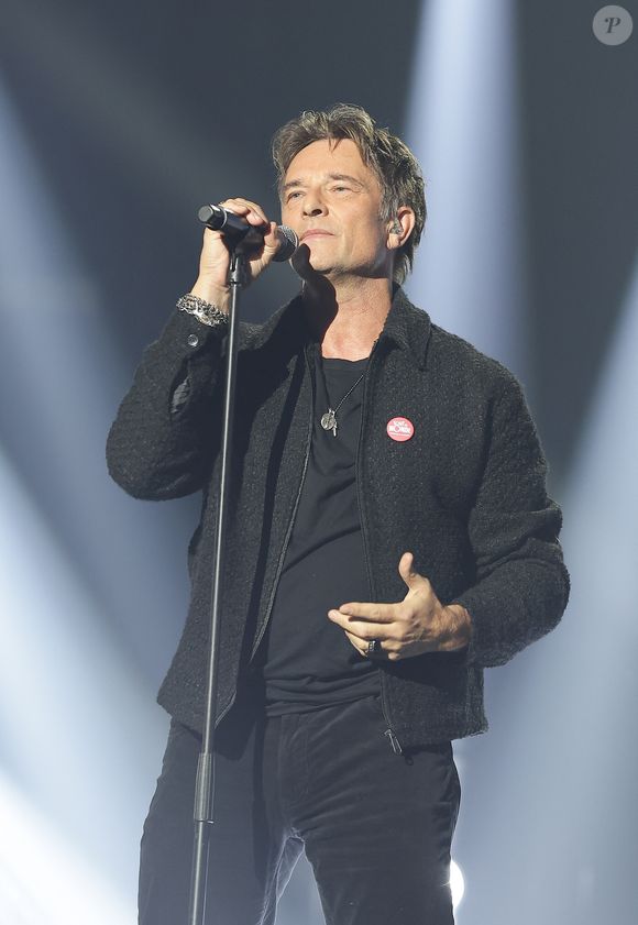 En parallèle, il poursuit ses études en école de commerce et cultive ses passions artistiques.

David Hallyday lors du concert du gala de Noël de l'association Tout le monde contre le cancer fête ses 20 ans diffusé le 24 décembre sur M6 à l'Adidas Aren Porte de la Chapelle à Paris, France, le 4 décembre 2025. © Coadic Guirec/Bestimage