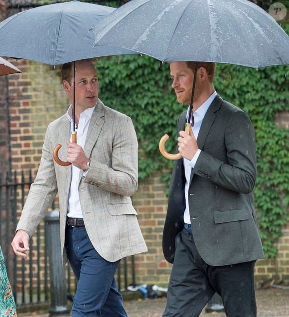 Le prince William et le prince Harry lors de la visite du  Sunken Garden dédié à la mémoire de Lady Diana à Londres, le 30 août 2017.

Photo : Agence / Bestimage