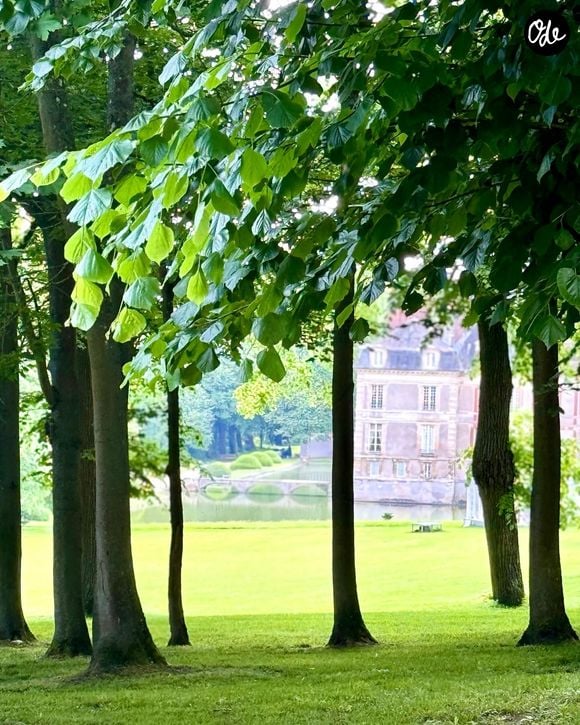 Le château d'Ormesson a acceuilli le tournage du "Meilleur Pâtissier", saison 13