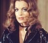 Romy Schneider : Qui était son dernier compagnon
Romy Schneider dans le film "Max et les Ferrailleurs" de Claude Sautet. Photo de Bestimage