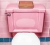 Il suffit d'en saupoudrer une fine couche et de laisser agir plusieurs heures.

Pourquoi est-ce important de mettre du bicarbonate de soude autour des toilettes ?