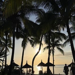 Camille Gottlieb a partagé des images de son séjour paradisiaque sur l'Île Maurice. Capture d'écran Instagram