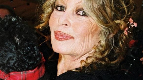 Brigitte Bardot : Son refuge parisien aux allures de maison de campagne mis aux enchères