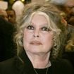 Grand chantier à La Madrague : le sanctuaire de Brigitte Bardot se prépare à un sérieux rafraîchissement