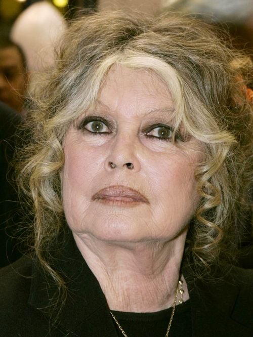 Grand chantier à La Madrague : le sanctuaire de Brigitte Bardot se prépare à un sérieux rafraîchissement