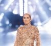 Céline Dion a récemment été aperçue du côté de Las Vegas

Concert de Celine Dion au défilé anniversaire Elie Saab "1001 Seasons of Elie Saab" à l'espace "The Venue" à Riyad, Arabie saoudite le 13 novembre 2024.
© Tiziano Da Silva / Bestimage