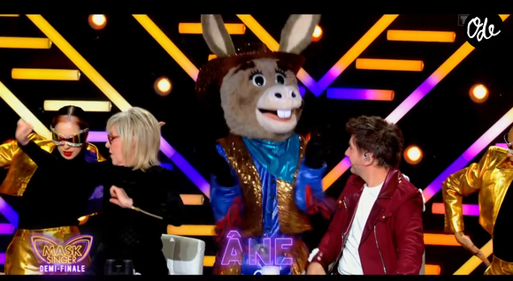 L'Ane dans Mask Singer - capture d'écran TF1