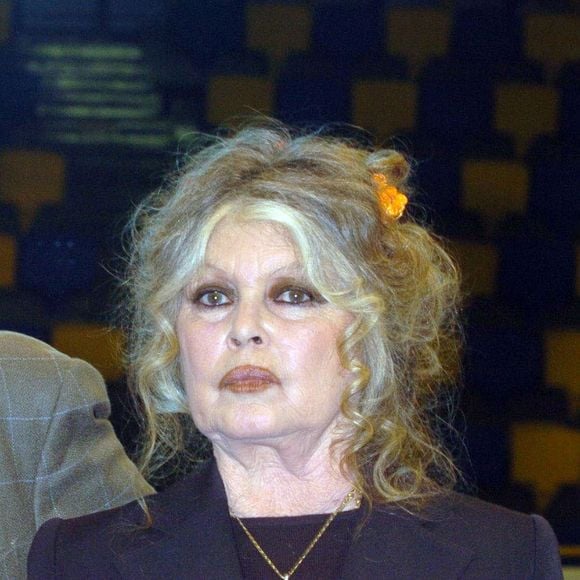 L'état de santé de Brigitte Bardot inquiète : l’icône du cinéma aurait été hospitalisée à Toulon.

Brigitte Bardot au "Noel des animaux" à Levallois Perret

Agence Bestimage