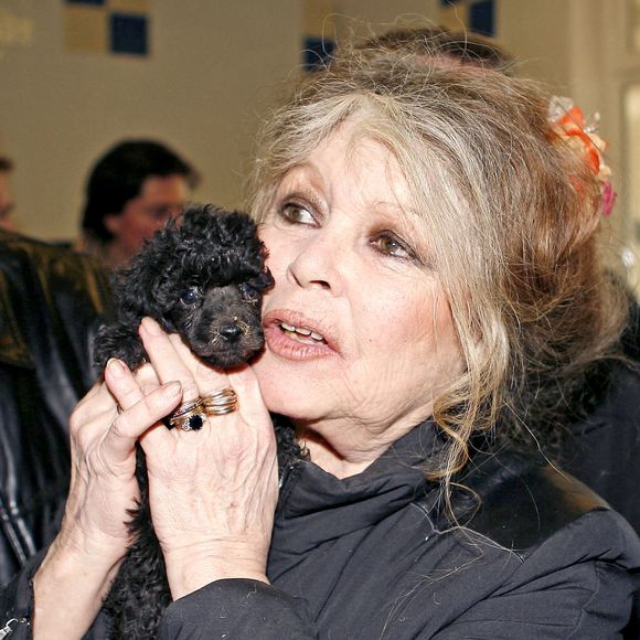 Brigitte Bardot en visite dans un centre de protection des animaux à Nice, dans le sud de la France, le 28 décembre 2005. Photo Abaca