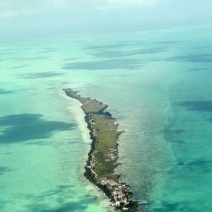 Exclusif -  Vues aériennes de Blackadore Caye, l'île privée au large des côtes du Belize que l'acteur et environnementaliste Leonardo DiCaprio a achetée en 2015 pour 1,75 million de dollars. Les plans de DiCaprio pour l'île comprennent une station de recherche axée sur le changement climatique, un hôtel, 36 bungalows de villégiature et 36 villas immobilières. L'île est bordée de palmiers mourants et le rivage est recouvert d'algues vertes à Blackadore Caye, au Belize, le 5 juin 2021. Coleman-Rayner / Bestimage