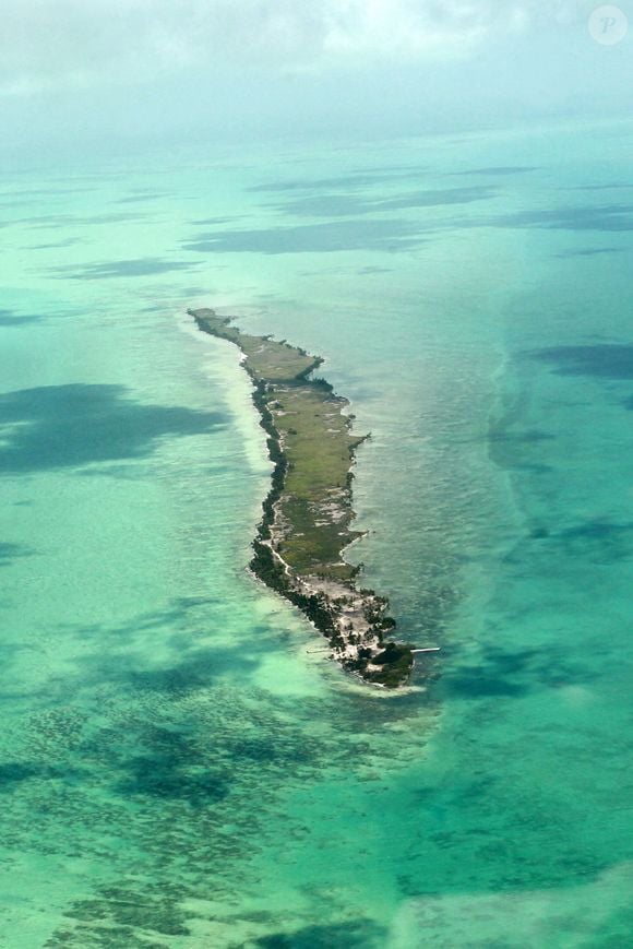 Exclusif -  Vues aériennes de Blackadore Caye, l'île privée au large des côtes du Belize que l'acteur et environnementaliste Leonardo DiCaprio a achetée en 2015 pour 1,75 million de dollars. Les plans de DiCaprio pour l'île comprennent une station de recherche axée sur le changement climatique, un hôtel, 36 bungalows de villégiature et 36 villas immobilières. L'île est bordée de palmiers mourants et le rivage est recouvert d'algues vertes à Blackadore Caye, au Belize, le 5 juin 2021. Coleman-Rayner / Bestimage