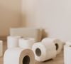 Le secret ? Un simple rouleau de papier toilette associé à quelques huiles essentielles. 

Photo Pexels