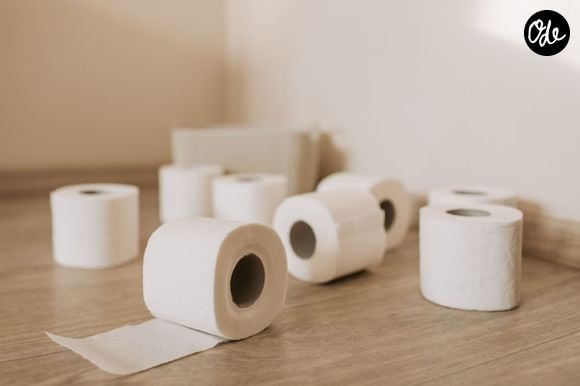 Le secret ? Un simple rouleau de papier toilette associé à quelques huiles essentielles. 

Photo Pexels